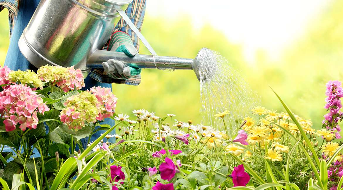 Experimental Gardening