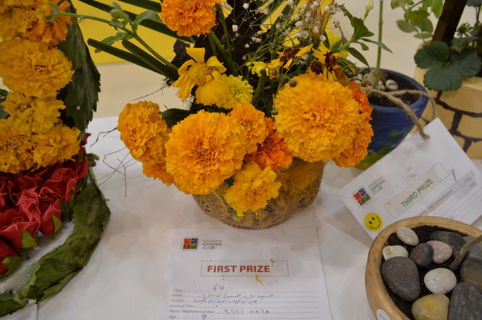 Young Gardener Competition Winners