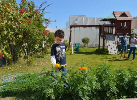 Youth Gardening