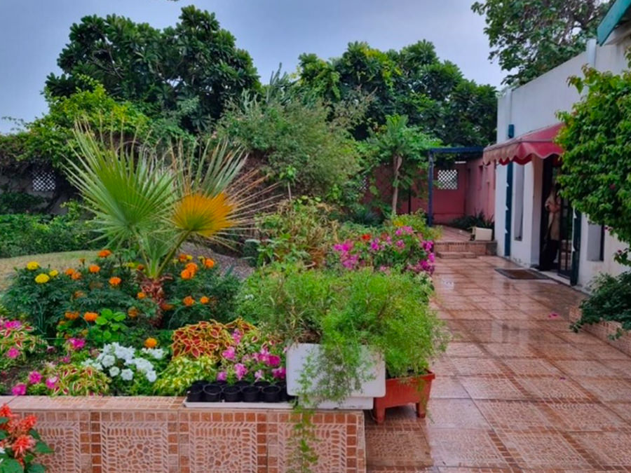 Garden Show Handbook, 2024