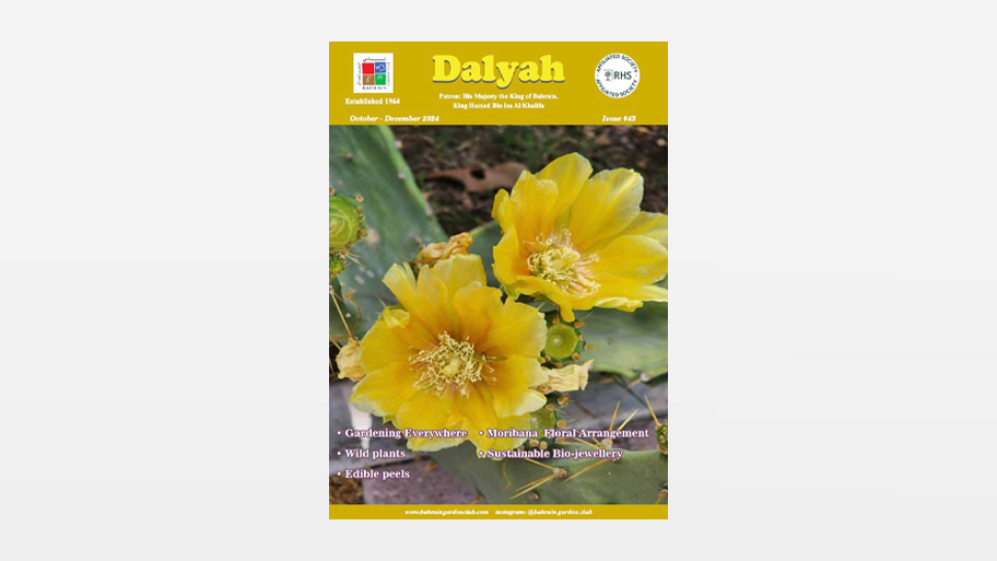 October – December 2024 Newsletter