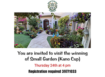 A Visit to the Winning Small Garden 2025