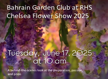 Chelsea Flashback 2025