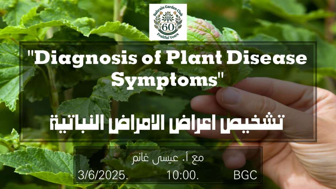 Diagnosis of Plant Disease Symptoms