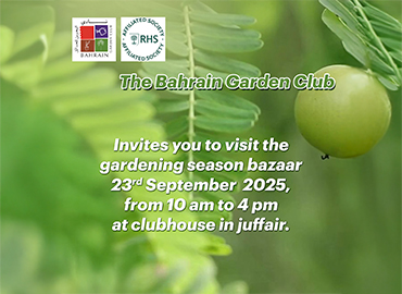 Gardening Season Bazar