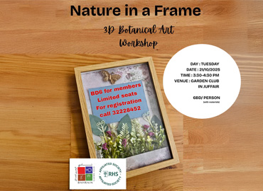 Nature in a frame workshop 2025