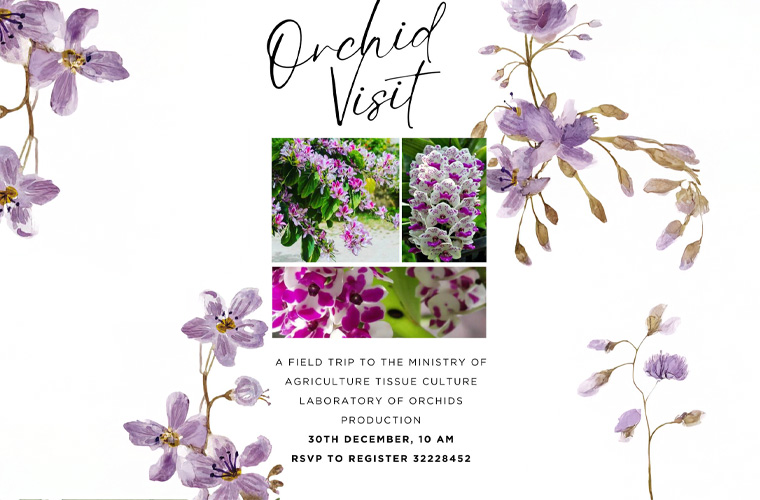 Bahraingardenclub-Orchid-visit
