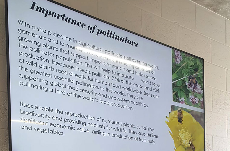 Bahraingardenclub importance of pollinators