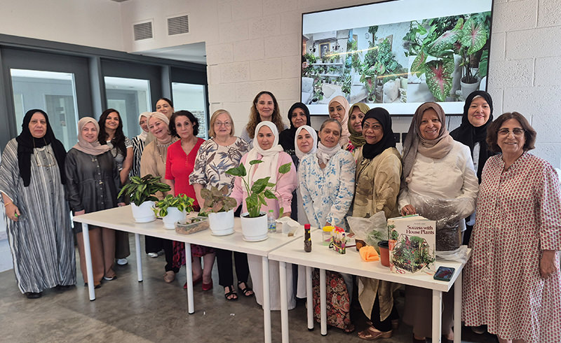BGC - Essential Tips for Thriving Indoor Plants