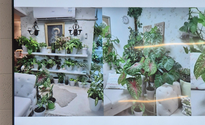 BGC - Essential Tips for Thriving Indoor Plants
