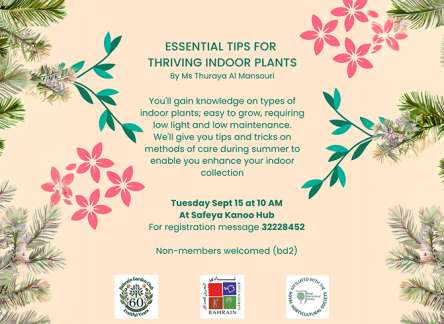 Essential Tips for Thriving Indoor Plants