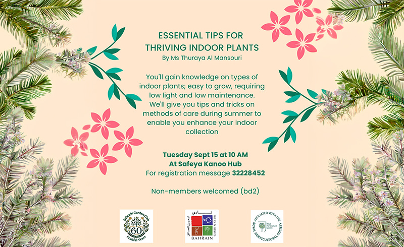 Essential Tips for Thriving Indoor Plants