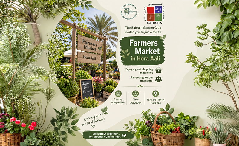 Farmers Market in Hora Aali
