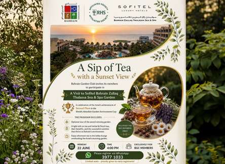 Tea With a Sunset View