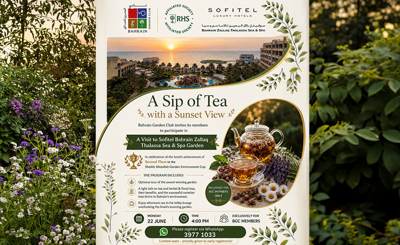 Tea With a Sunset View