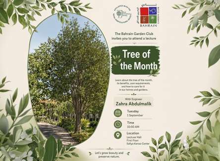 Tree of the Month “Coral Vine”
